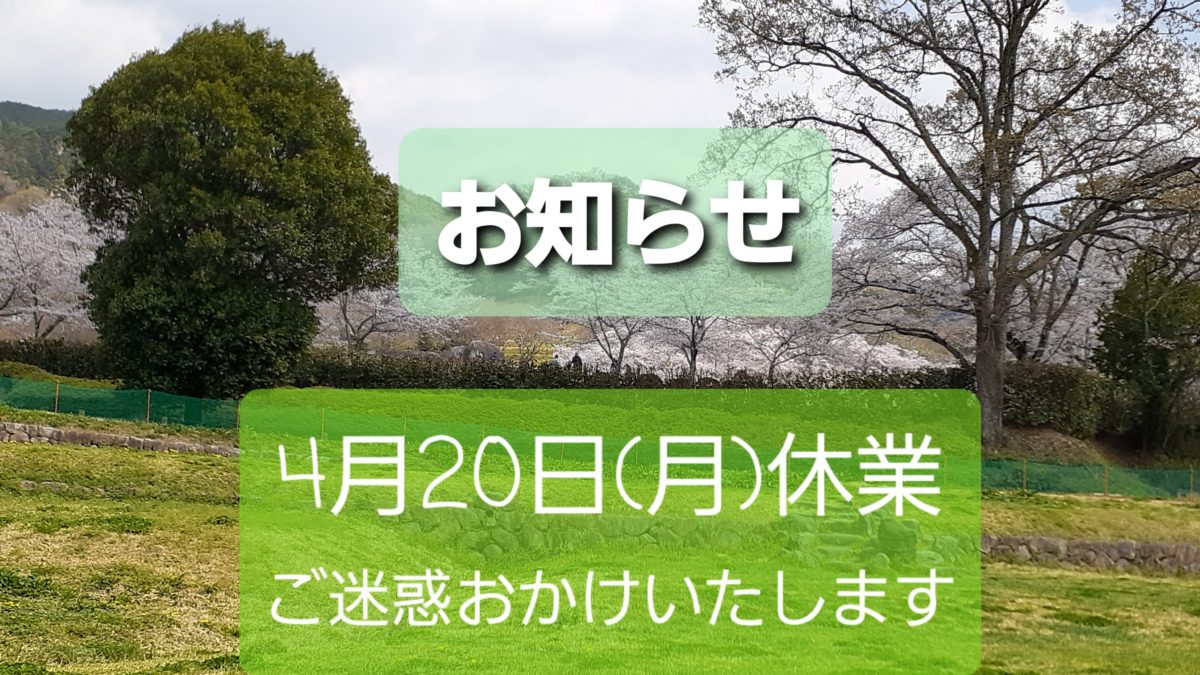 誠に勝手を申します🙇🏻‍♀️